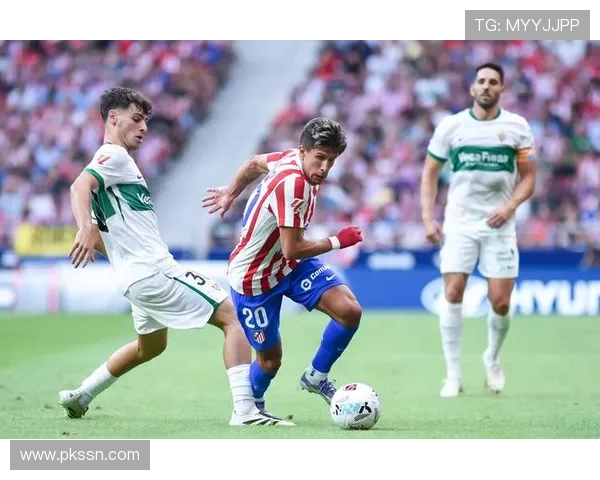 聚焦全球体育赛事格局深度解析与未来趋势前瞻战略与竞争态势观察 - 副本 - 副本 - 副本 (2) - 副本