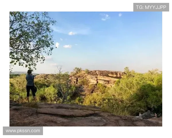 非洲雄狮崛起象征大地力量与生态复兴的壮丽篇章 - 副本 - 副本